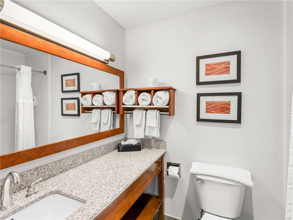 Comfort Inn & Suites Bellevue Omaha Offutt AFB - photo 13