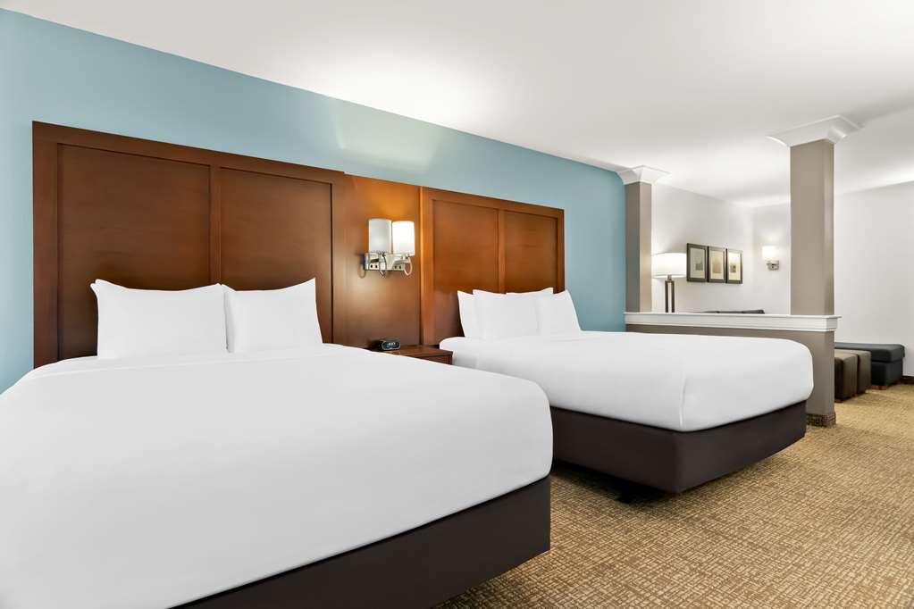 Comfort Suites Rensselaer near Fair Oaks - photo 19