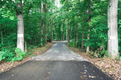 Tiny Home Cottage Near the Smokies #8 Helga - photo 16