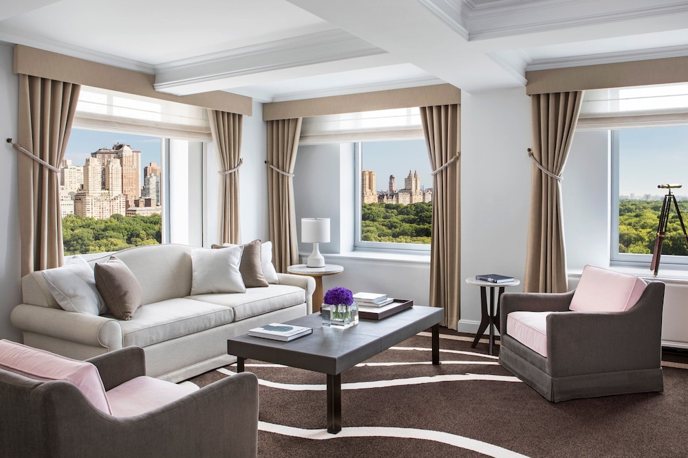 The Ritz Carlton New York Central Park - photo 46