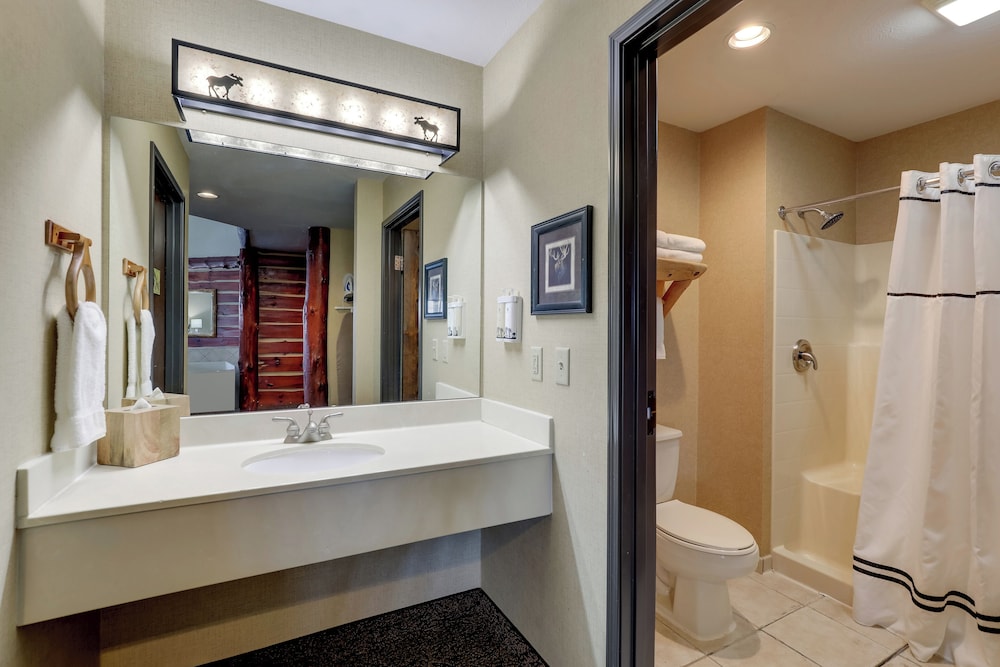 Stoney Creek Hotel La Crosse Onalaska - photo 27