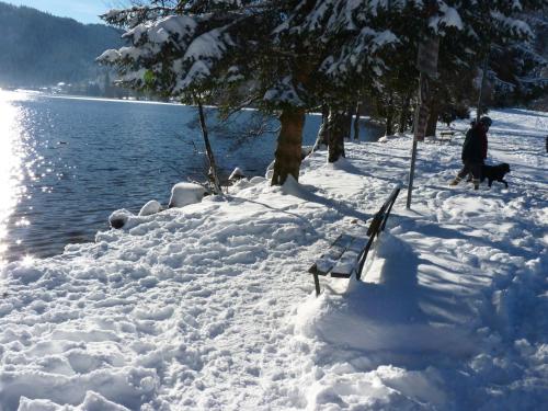 Studio Hauteur Gerardmer - carbon neutral hotel in Gerardmer