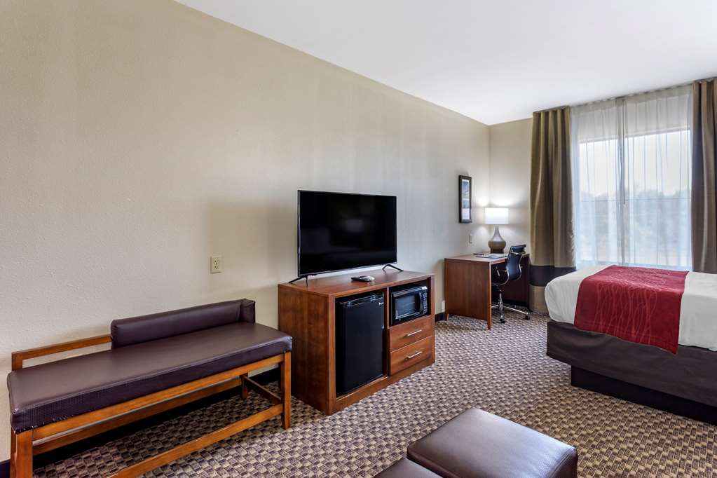 Comfort Inn & Suites Atoka Millington - photo 31