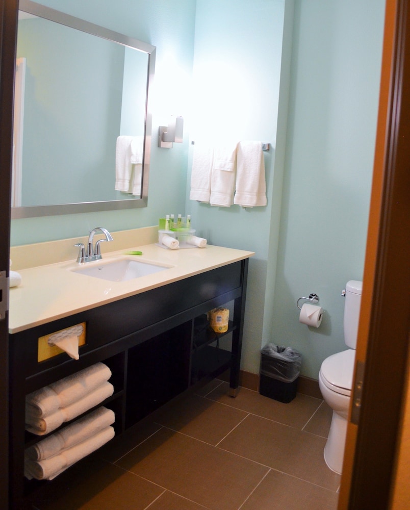Holiday Inn Express & Suites Austin South by IHG - photo 34