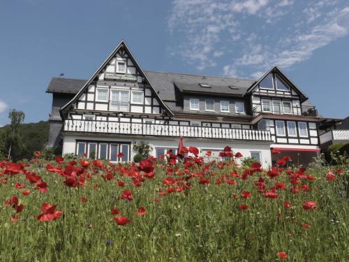Rübenkämpers Ferienwohnungen — 4-Star Luxury Hotel in Schmallenberg, Germany