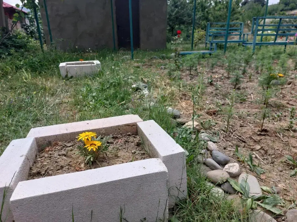 Green House In Vazisubani