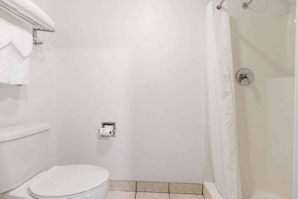 Best Western Inn & Suites Midway Airport - photo 21