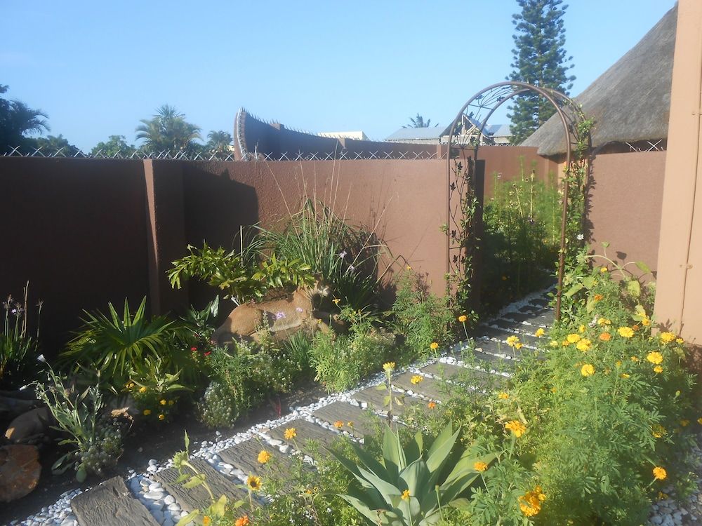 Natal Mahogany in Richards Bay, South Africa