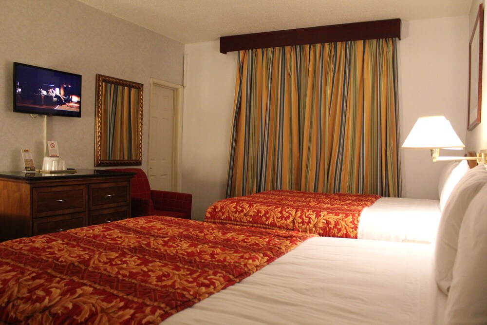 Grand Inn - photo 13
