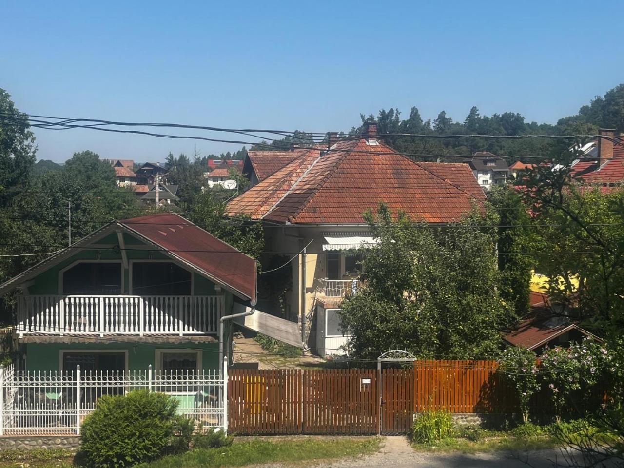 Green in Sovata, Romania