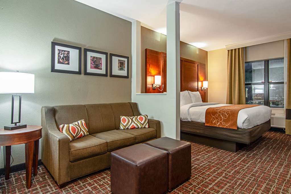 Comfort Suites NW Dallas Near Love Field - photo 25