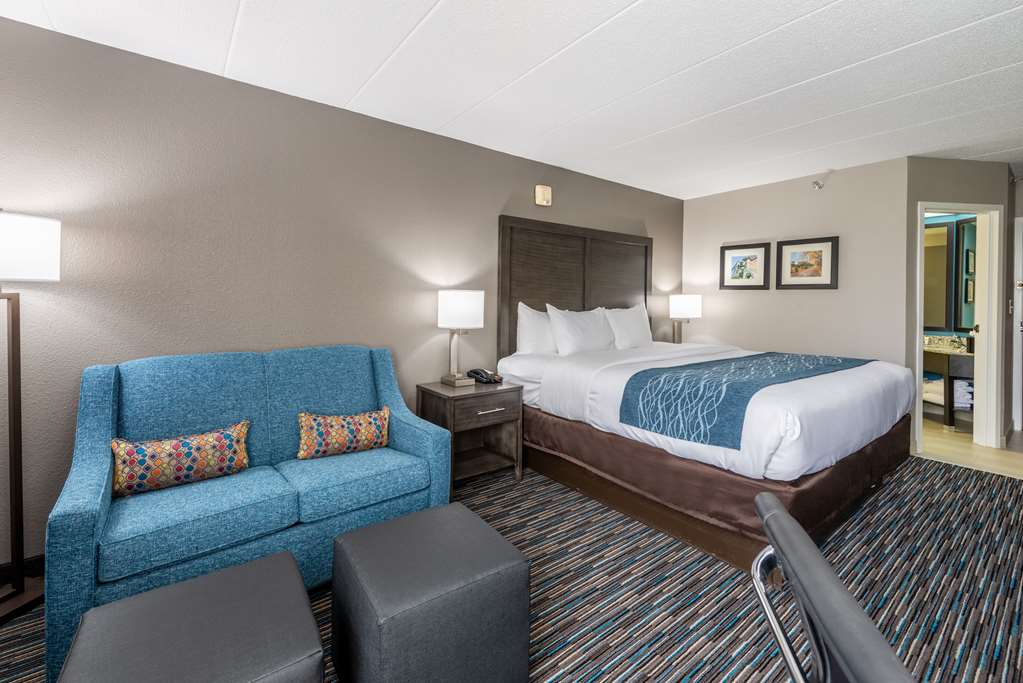 Comfort Inn Chicago Schaumburg O'Hare Airport - photo 18