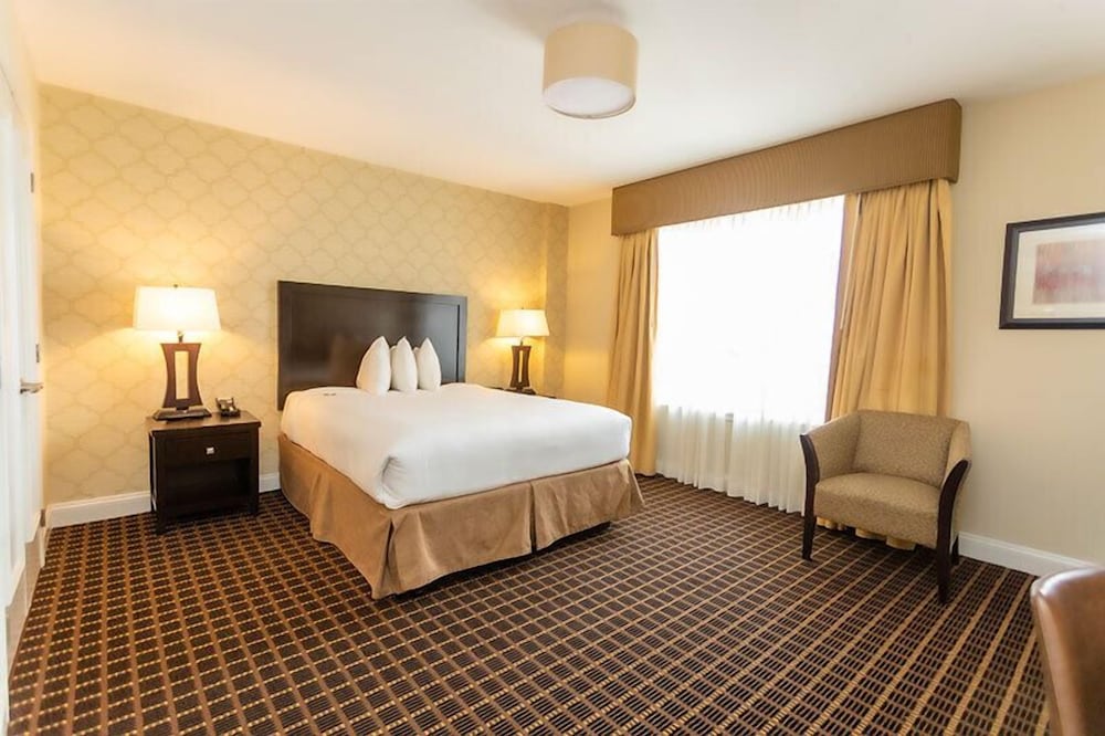 American Hotel - photo 10