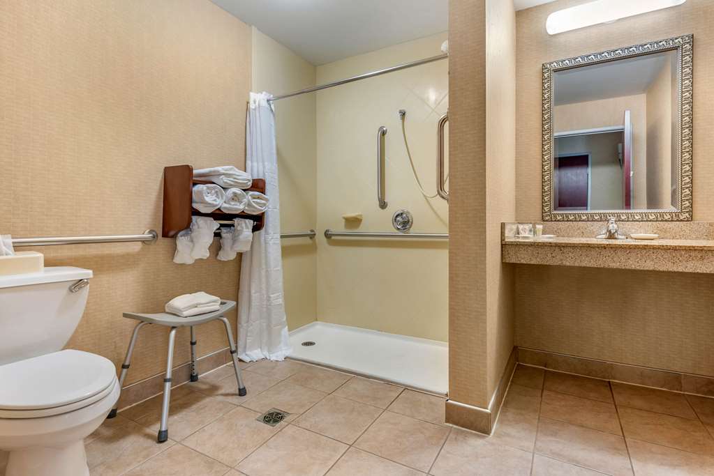 Comfort Suites Elkhart South - photo 21