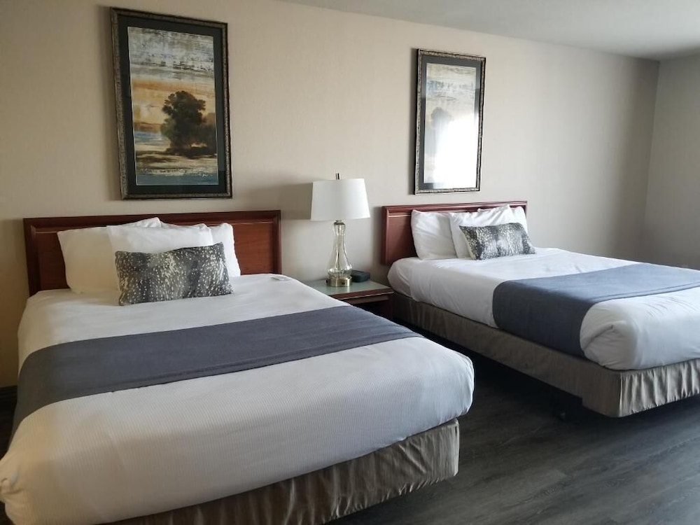 Shilo Inn Suites Salem - photo 10