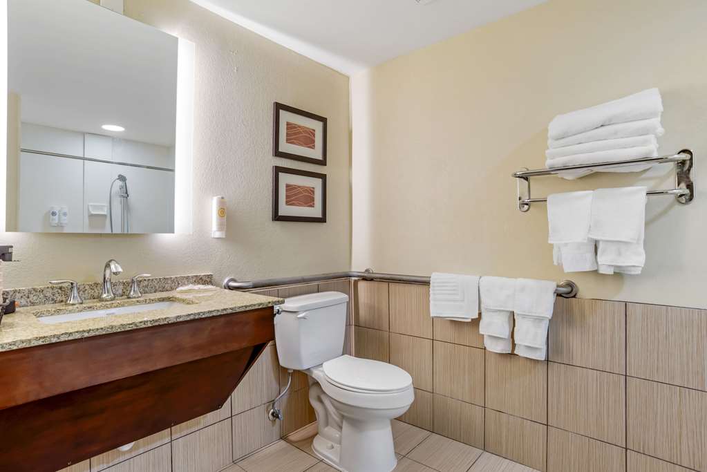 Comfort Inn Opelika Auburn - photo 18