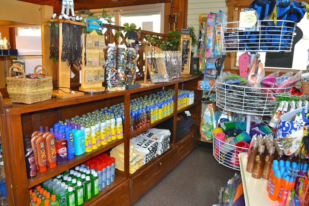 Yogi Bear's Jellystone Park Camp Resort - photo 34