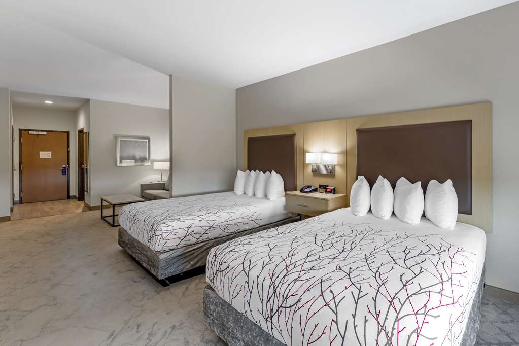 Best Western Plus Chickasha Inn - photo 7
