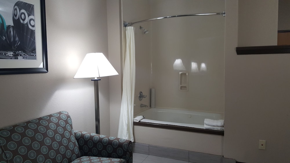 Comfort Suites Plano East Richardson - photo 45
