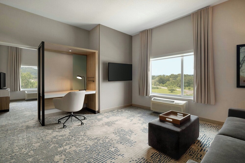 SpringHill Suites by Marriott Roanoke - photo 12