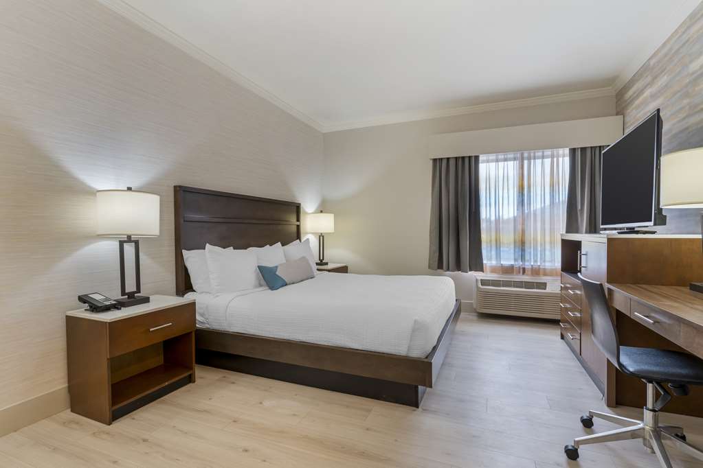 Best Western Plus All Suites Inn - photo 22