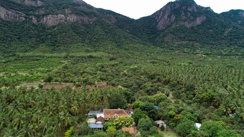 Pannadikadu Homestay — 5-Star Luxury Hotel in Pollachi, India