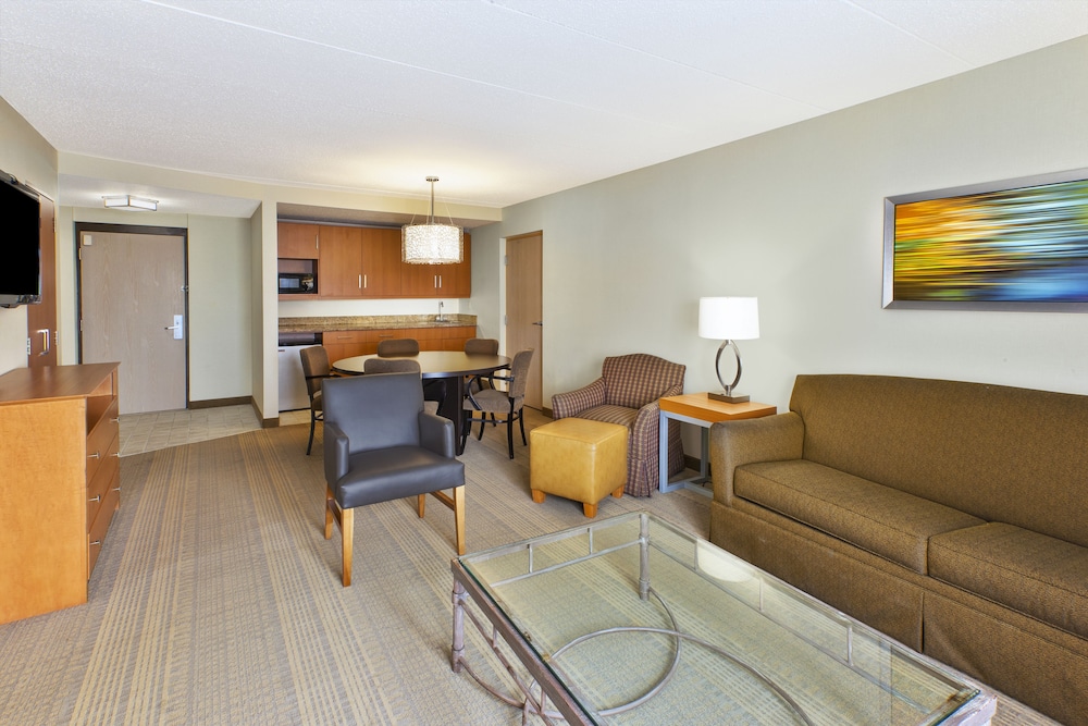 Holiday Inn & Suites Bolingbrook by IHG - photo 10