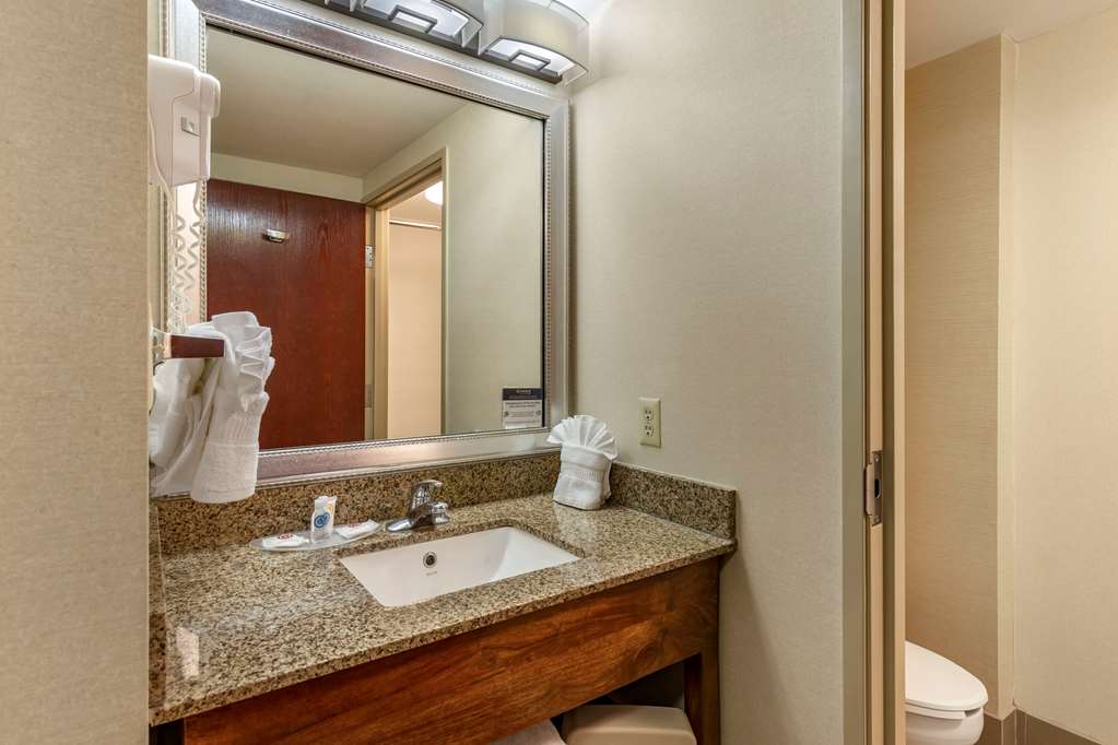 Comfort Suites Manassas Battlefield Park - photo 35