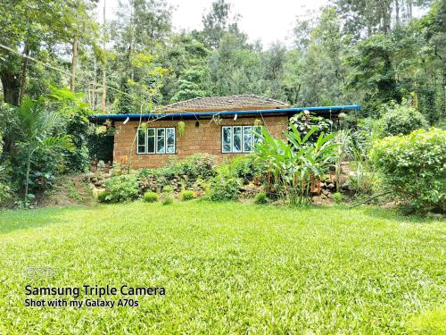 The Dream - last minute hotel in Sanivarsante