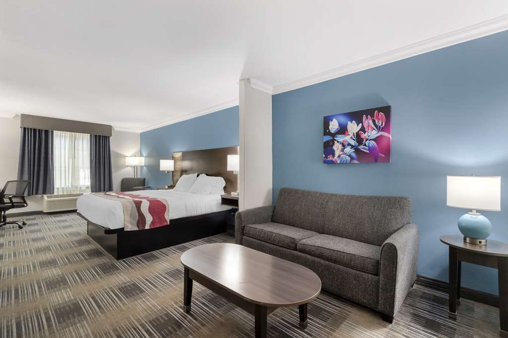 Best Western Medical Center North Inn & Suites Near Six Flags - photo 9