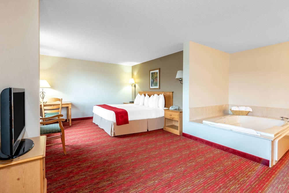 Comfort Inn & Suites Summerset Black Hills Area - photo 11