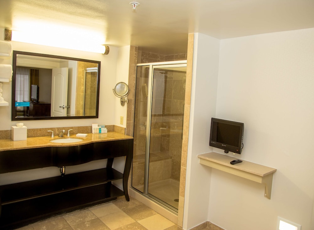Hampton Inn & Suites Albany Downtown - photo 32