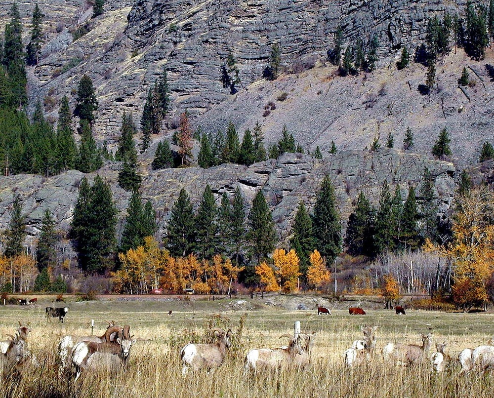 Rocky Point Ranch - photo 10