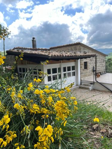 la casetta di nonna Gemma — 4-Star Luxury Hotel in San Buono, Italy