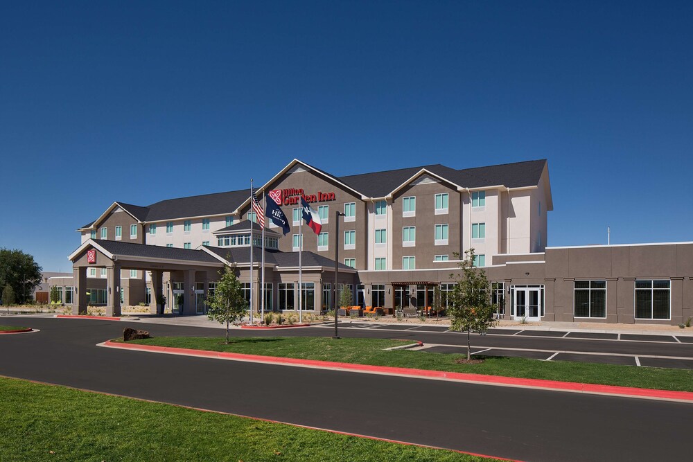 Hilton Garden Inn Lubbock - photo 43