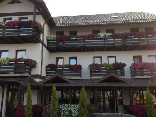 Popasul Transilvania — hotel in Targu-Mures