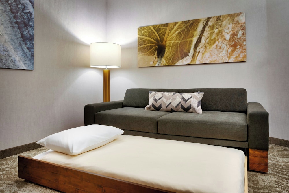 SpringHill Suites by Marriott Cottonwood - photo 14