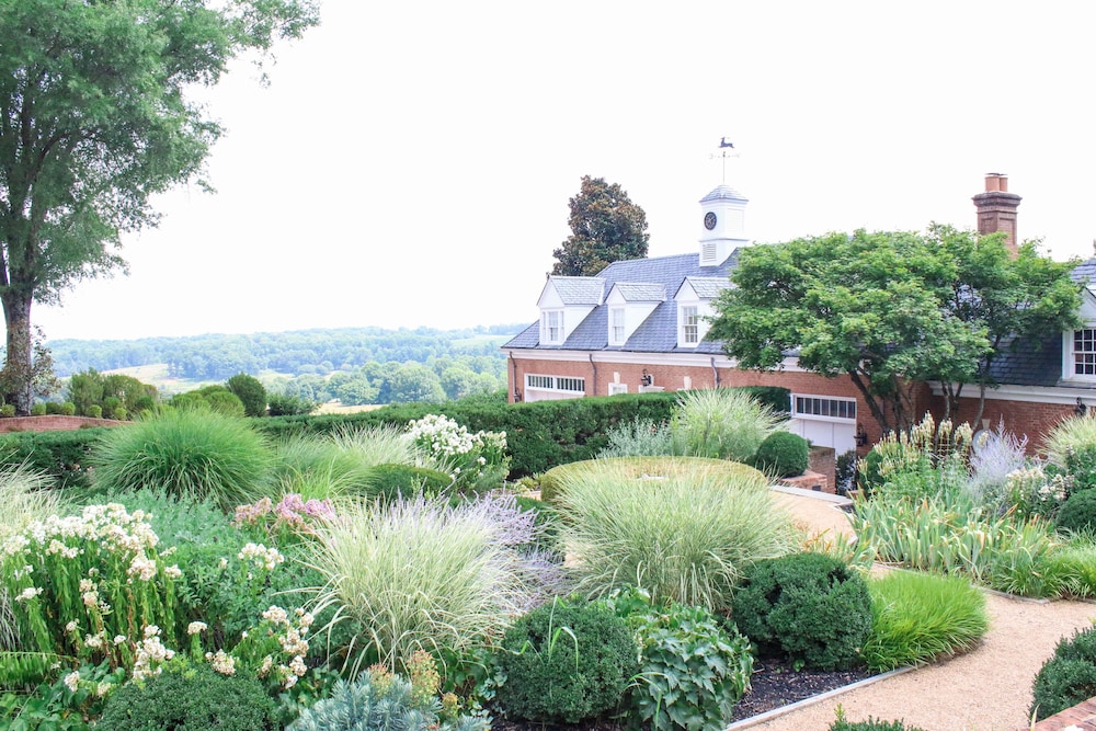 Albemarle Estate at Trump Winery - photo 215