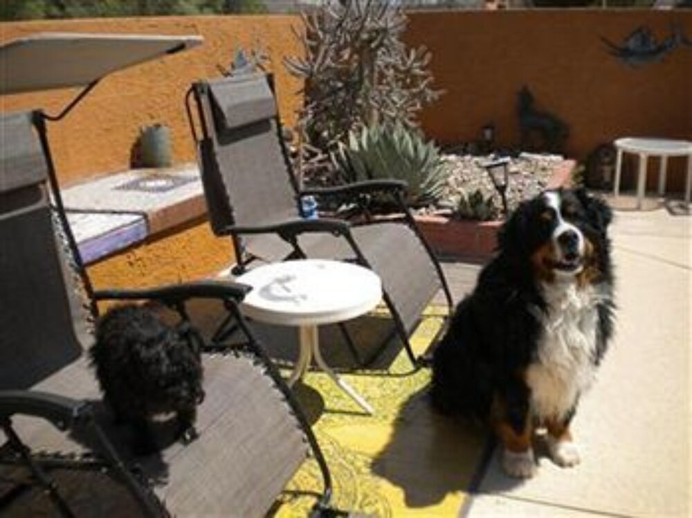 Lazy Dog Ranch - photo 34