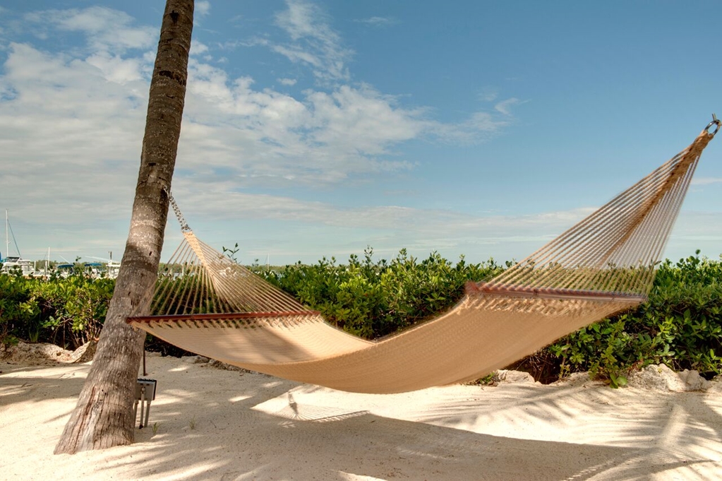 Coconut Palm Inn - photo 25
