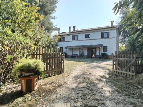 Boschetto Sul Mare in Cupra Marittima, Italy