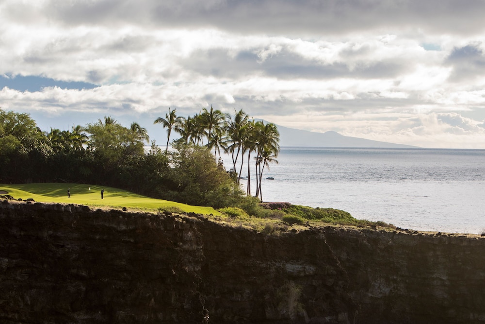 Four Seasons Resort Lanai - photo 90