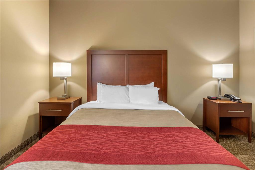 Comfort Inn Walcott near Davenport - photo 19