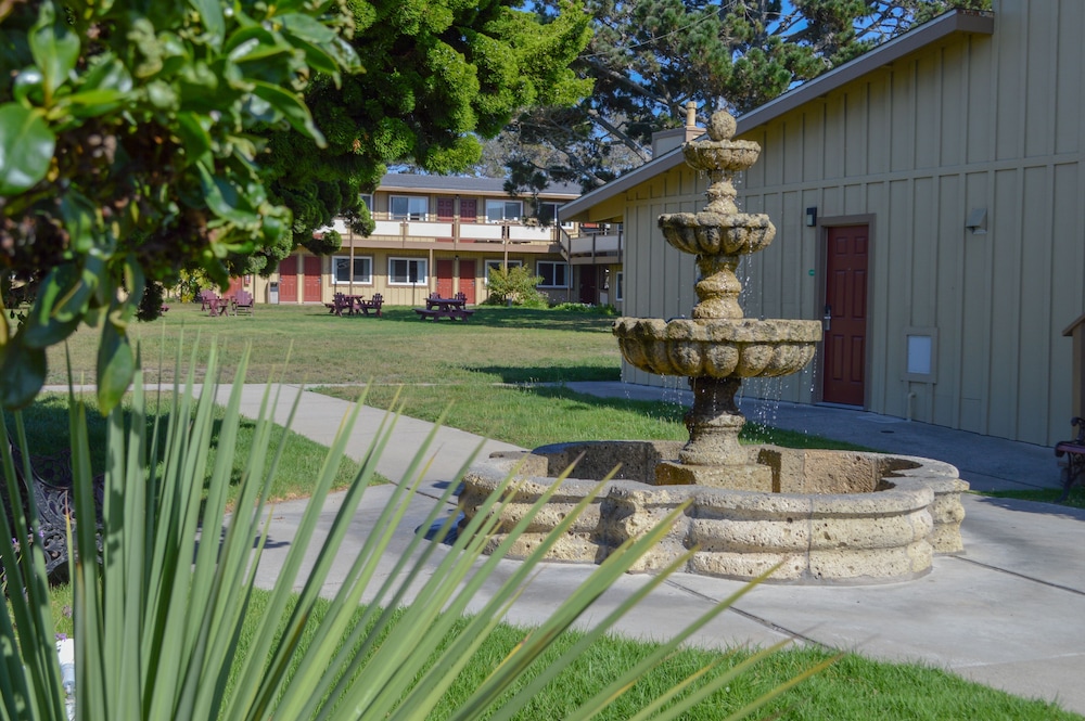 Silver Surf Motel - photo 93