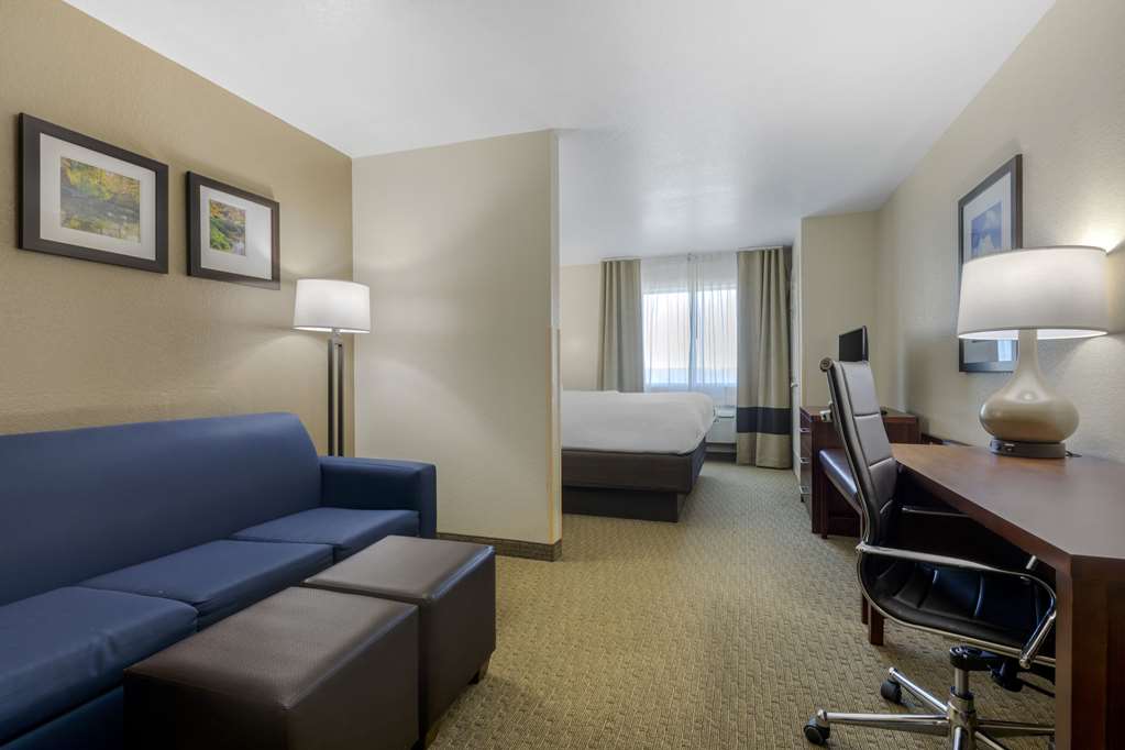 Comfort Suites Benbrook Fort Worth Southwest - photo 17