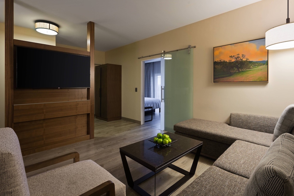 Santa Ynez Valley Marriott - photo 16