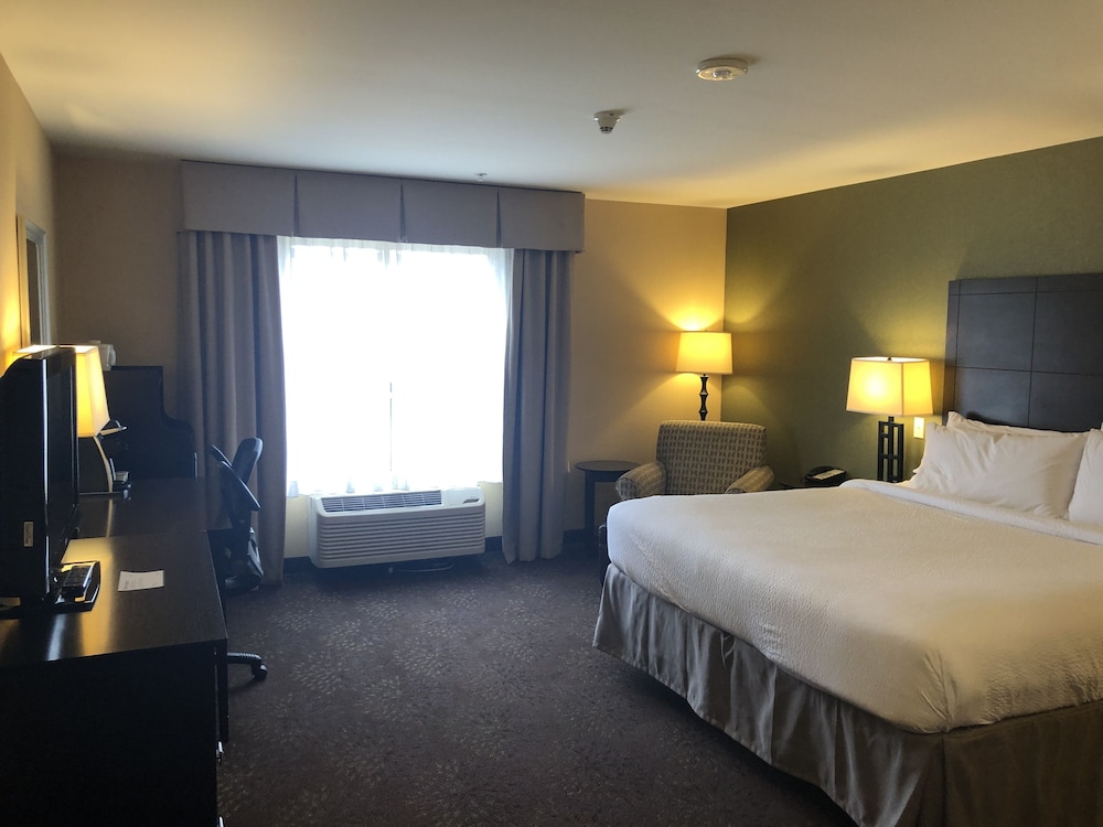 Holiday Inn Express Hotel & Suites Lansing Dimondale by IHG - photo 14