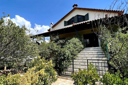 Estate Tsiati - last minute hotel in Unknown City