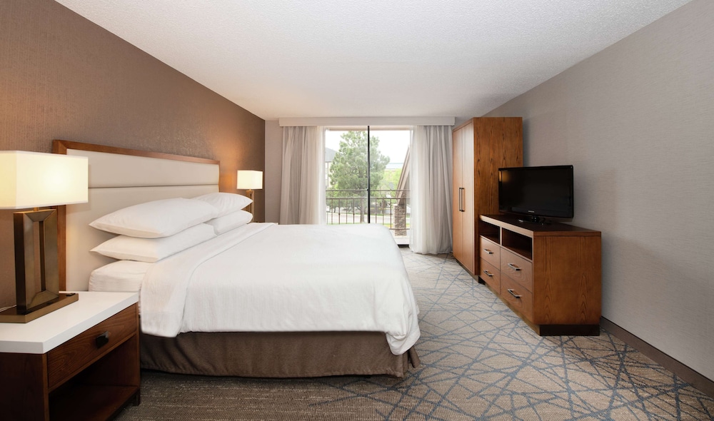 Embassy Suites by Hilton Colorado Springs - photo 34