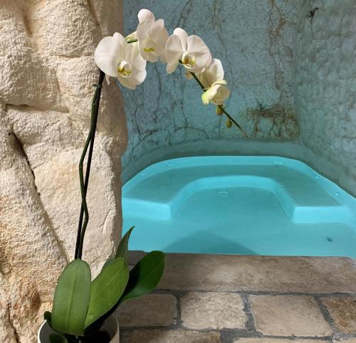Panta Rei - last minute hotel in Ostuni